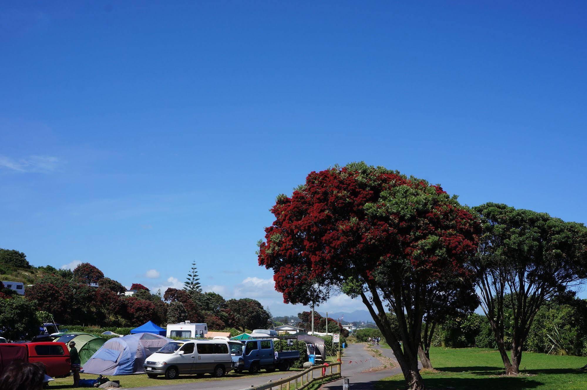 Fitzroy Beach Holiday Park New Plymouth Exterior foto